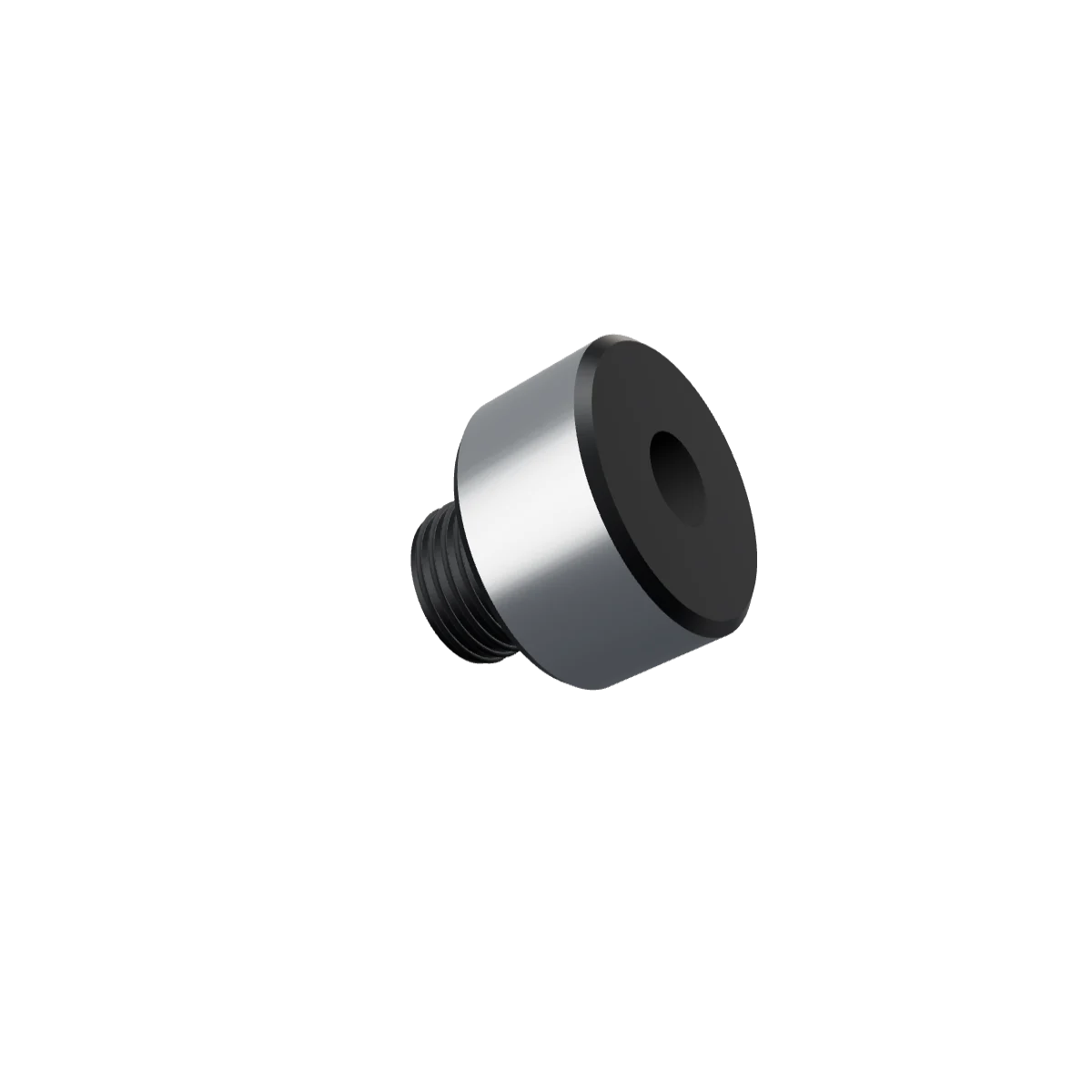 Pion Fixed